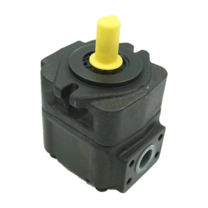 DVQ20-17-F-RAB-02 (4)