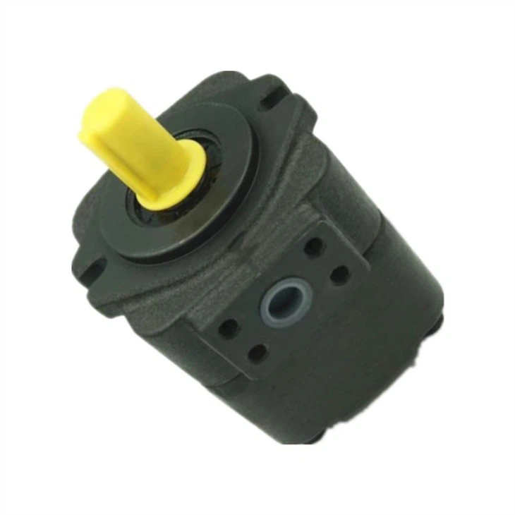 DVQ20-17-F-RAB-02 (5)